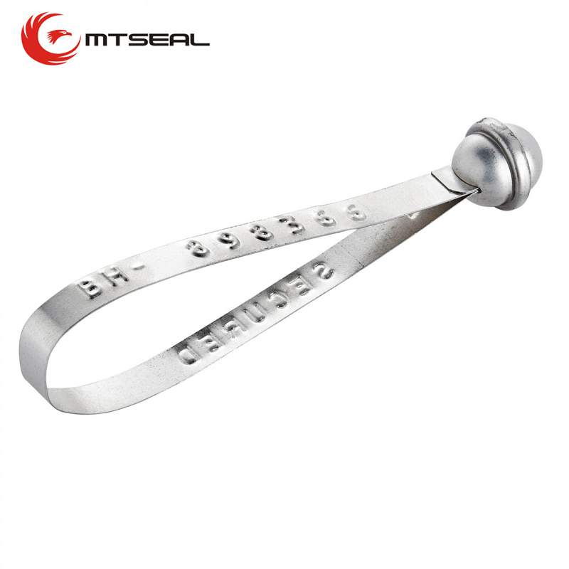 Metal Strap Seals S2-1.jpg